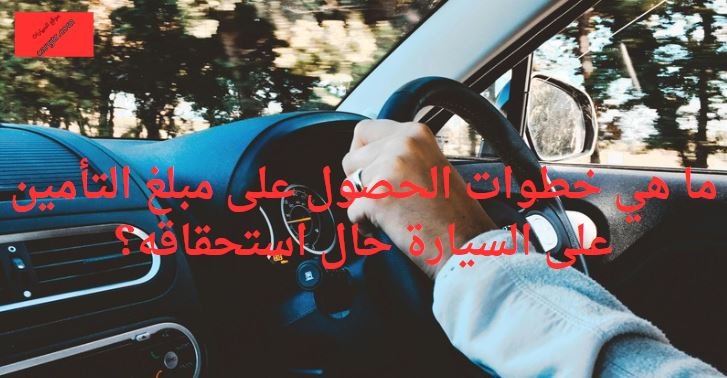 مبلغ التأمين